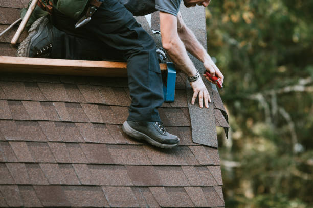 Professional Roofing Contractor in Gretna, FL