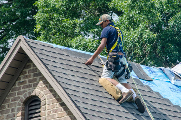 Best Roof Gutter Cleaning  in Gretna, FL